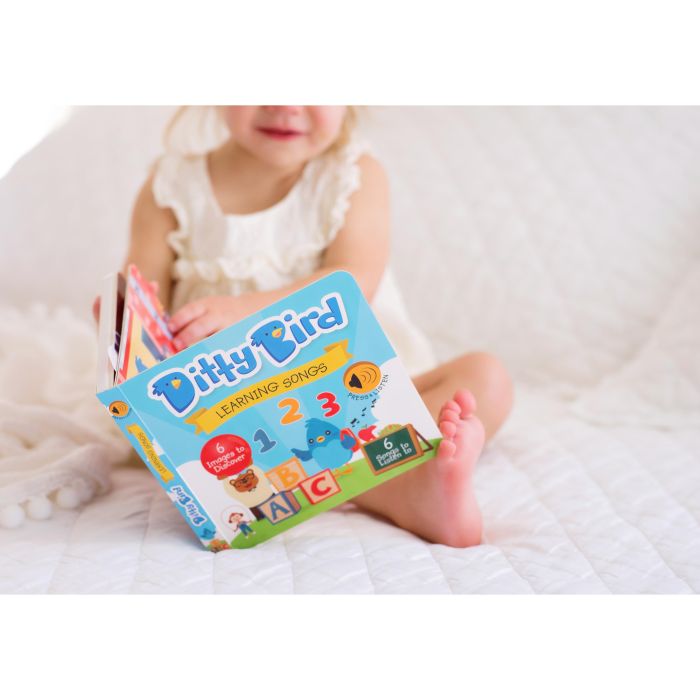 Ditty Bird Learning Songs Multi-Coloured 16x2x16cm