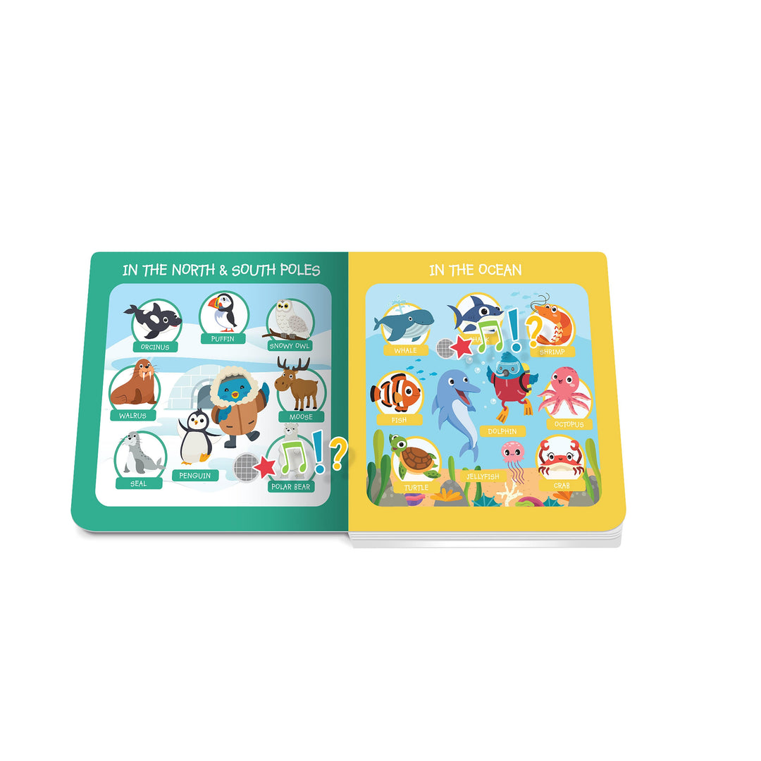 Ditty Bird First 100 Animals Multi-Coloured 16x2x16cm