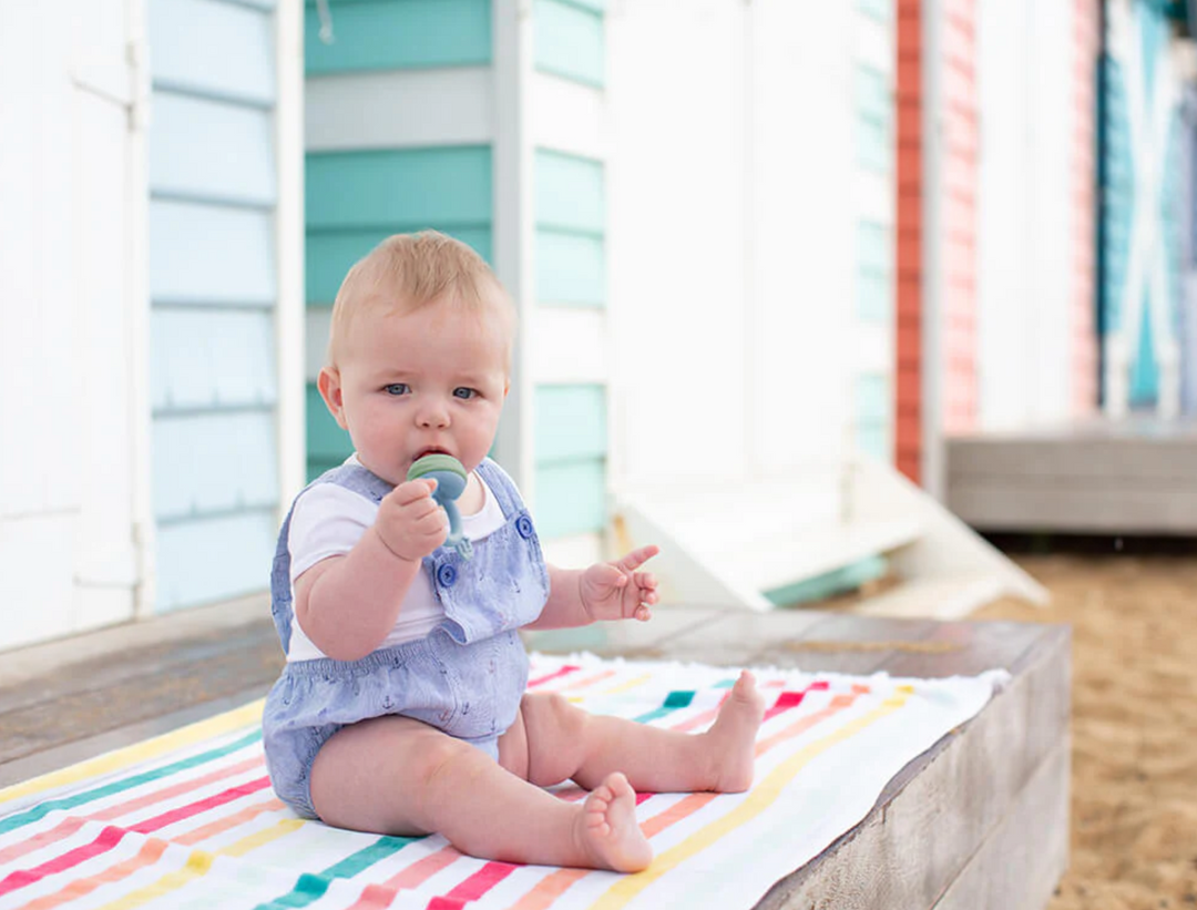 Cherub Baby SILICONE FRESH FOOD FEEDER - CERULEAN/SAGE