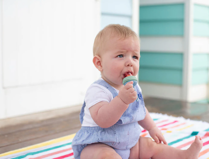 Cherub Baby SILICONE FRESH FOOD FEEDER - CERULEAN/SAGE