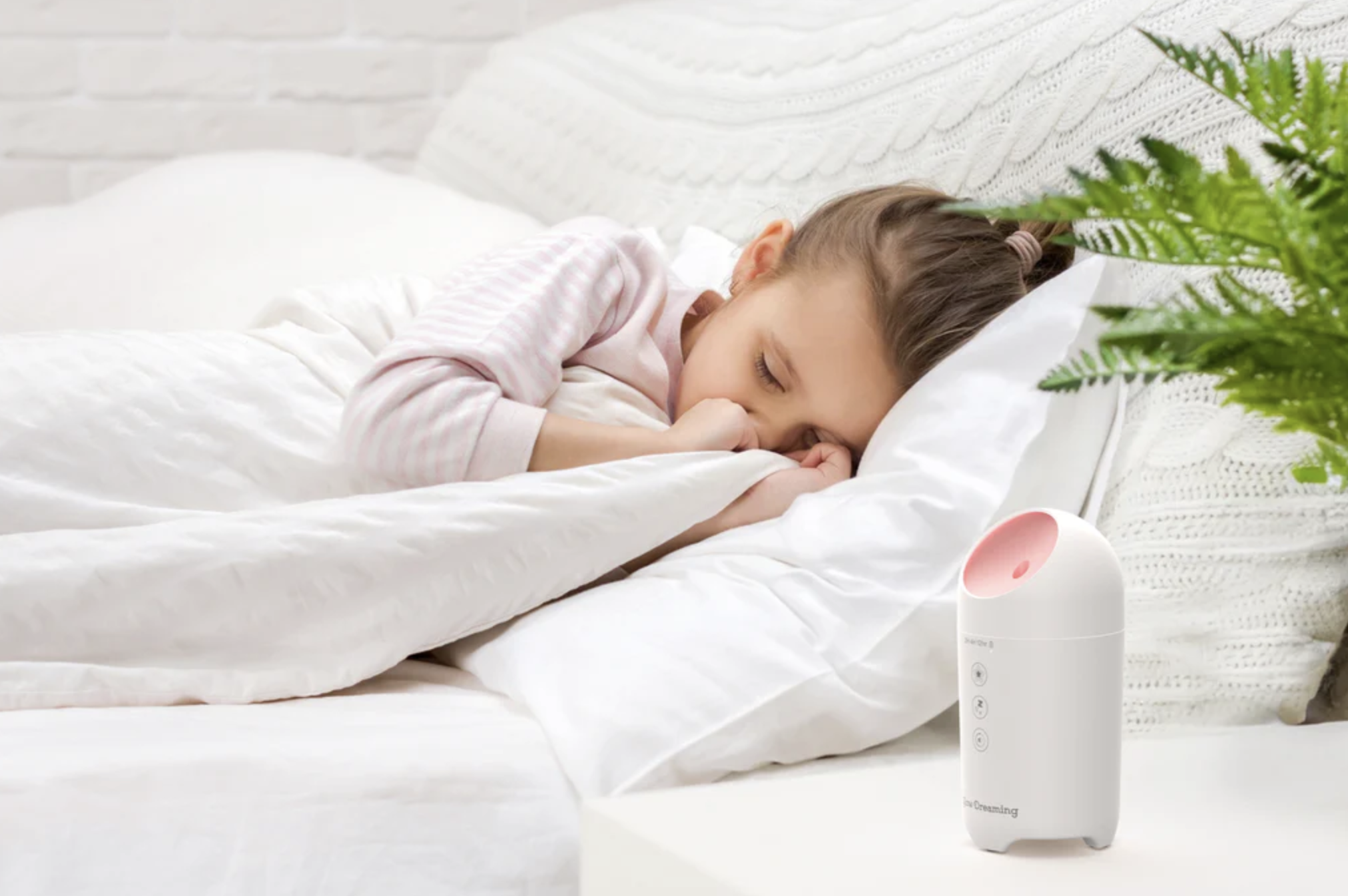 Humidifiers & Diffusers