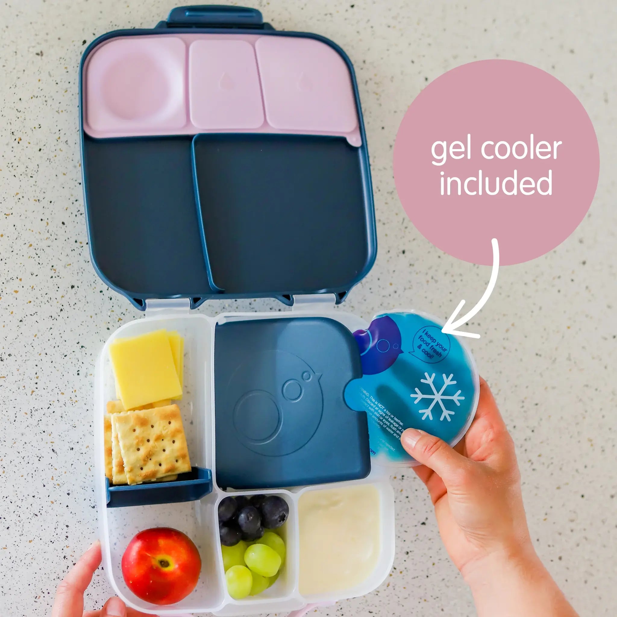 Food Storage & Lunchboxes