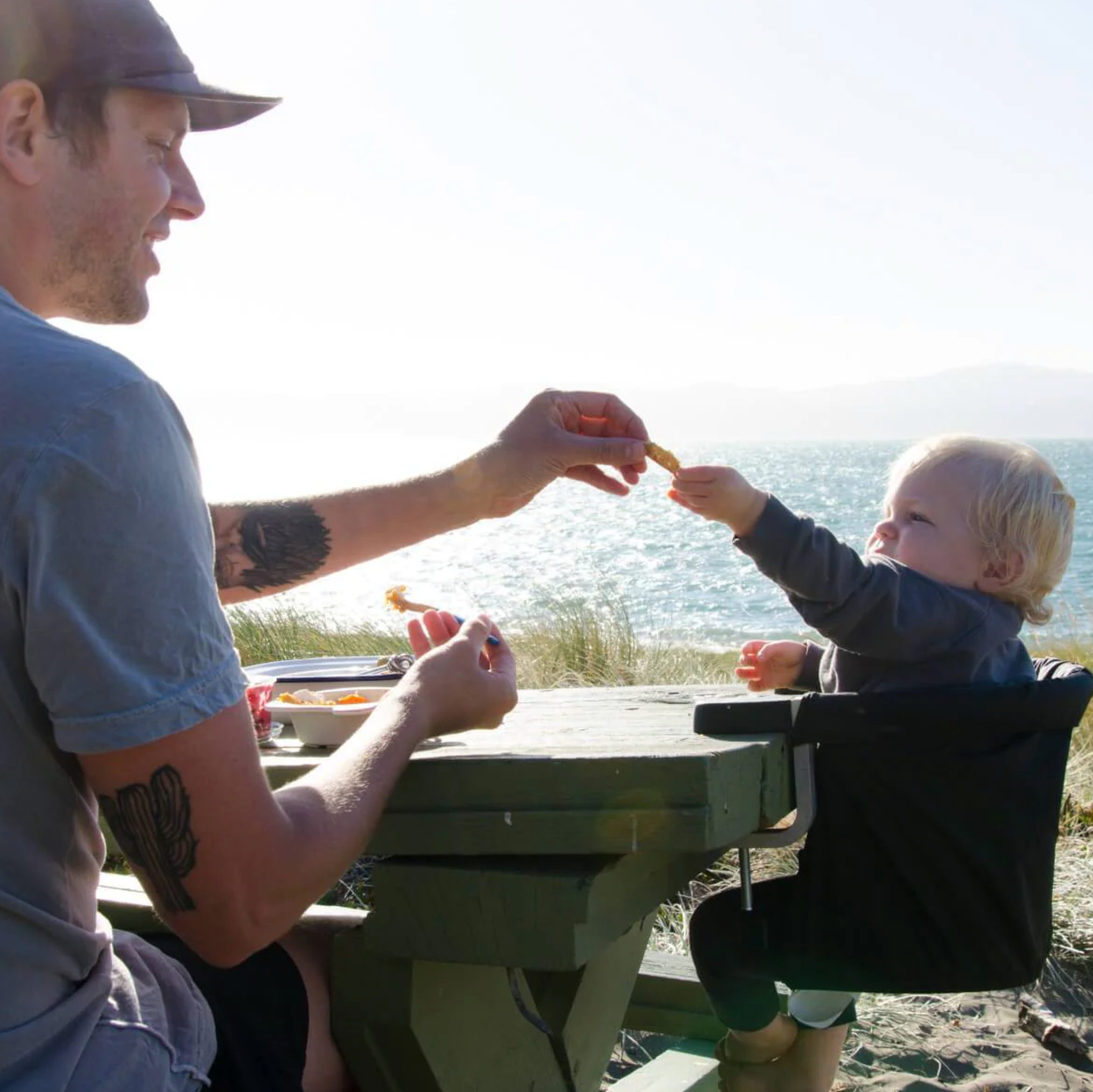 Highchairs | Boosters