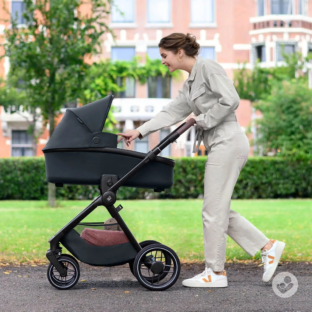 Maxi Cosi Oxford Stroller and Oria Bassinet