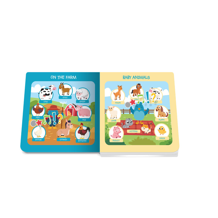 Ditty Bird First 100 Animals Multi-Coloured 16x2x16cm