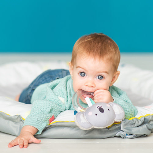TAF Toys Kimmy Koala Rattle(TT12425)