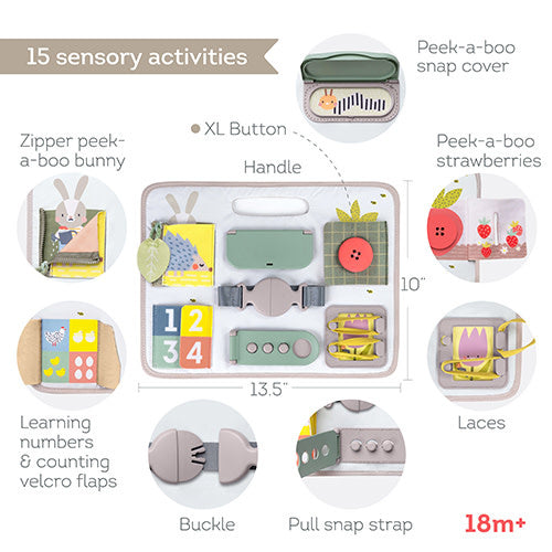 Taf Toys Activity Buckles Board (TT13295)