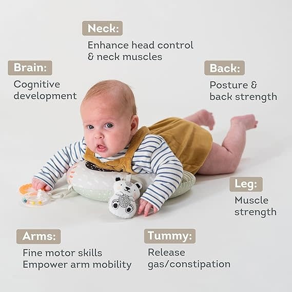 TAF Toys Ergonomic Tummy Time Pillow with Teether and Rattle *Kraft Packaging* (US12916)
