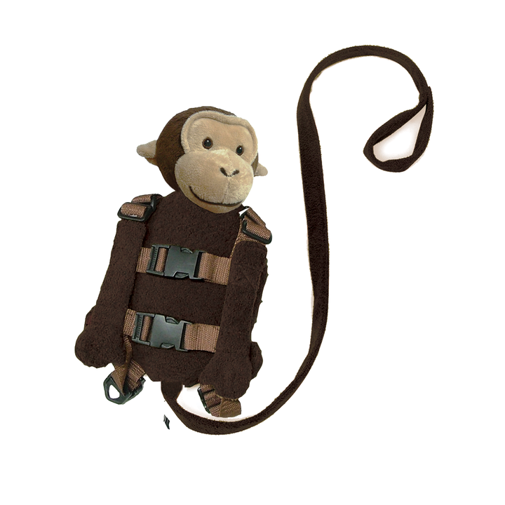 Playette 2 in 1 Harness Buddy