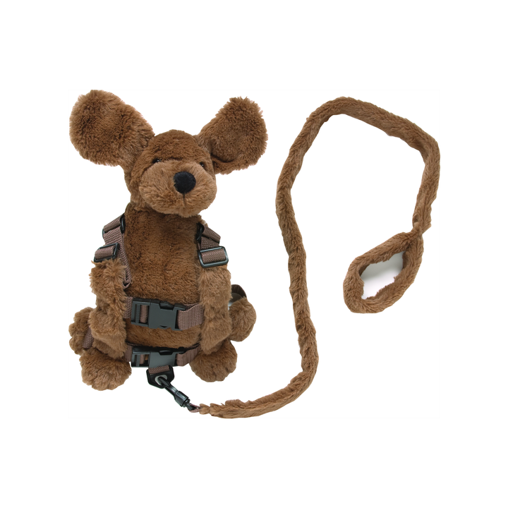 Playette 2 in 1 Harness Buddy