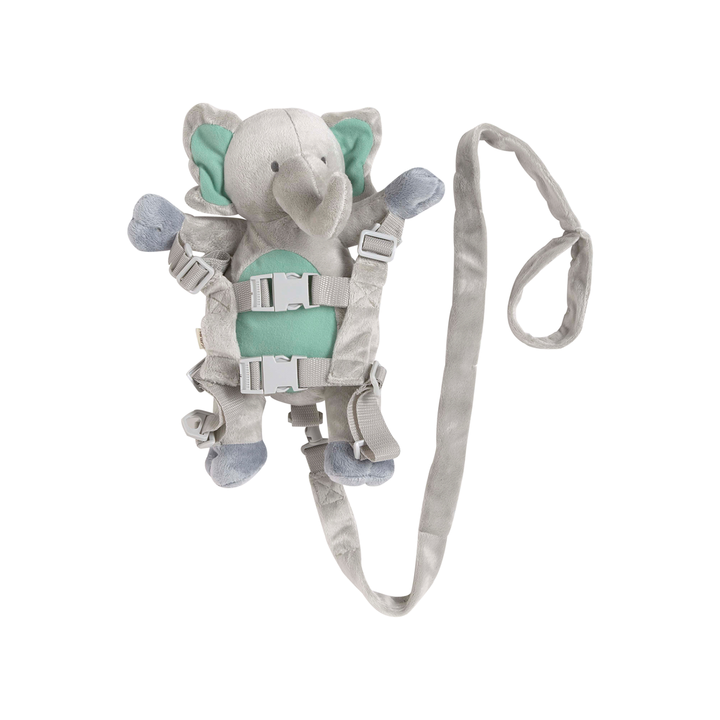 Playette 2 in 1 Harness Buddy
