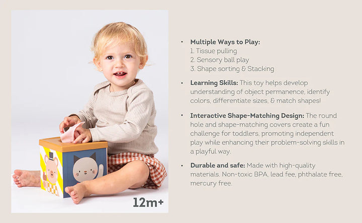 Taf Toys Play & Discover Cube 12M+ TT13645