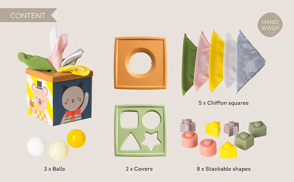 Taf Toys Play & Discover Cube 12M+ TT13645