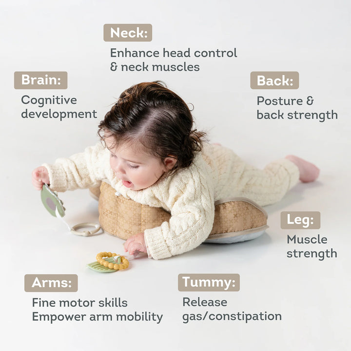 Taf Toys Tummy Time Pillow - Bear 0M+ (TT13715)