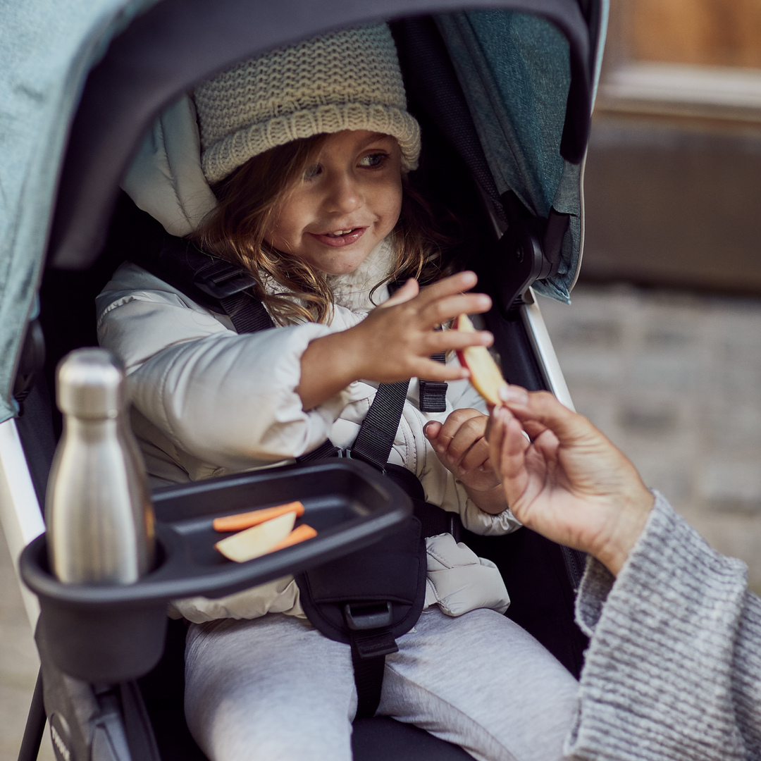 Thule Spring snack tray
