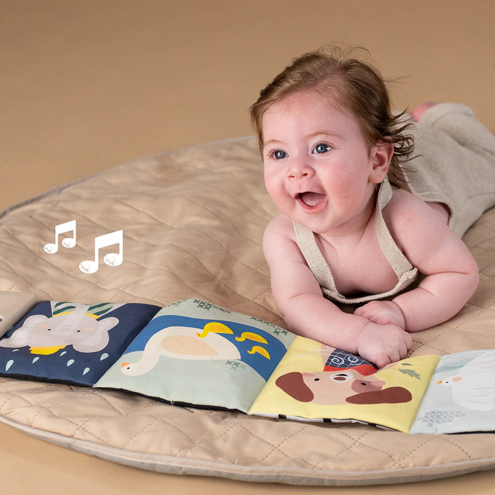 Taf Toys Soothing Sounds Book