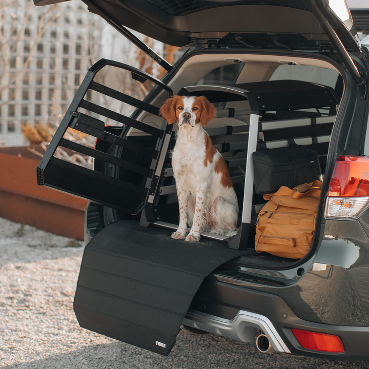 Thule Allax XXL (770008)