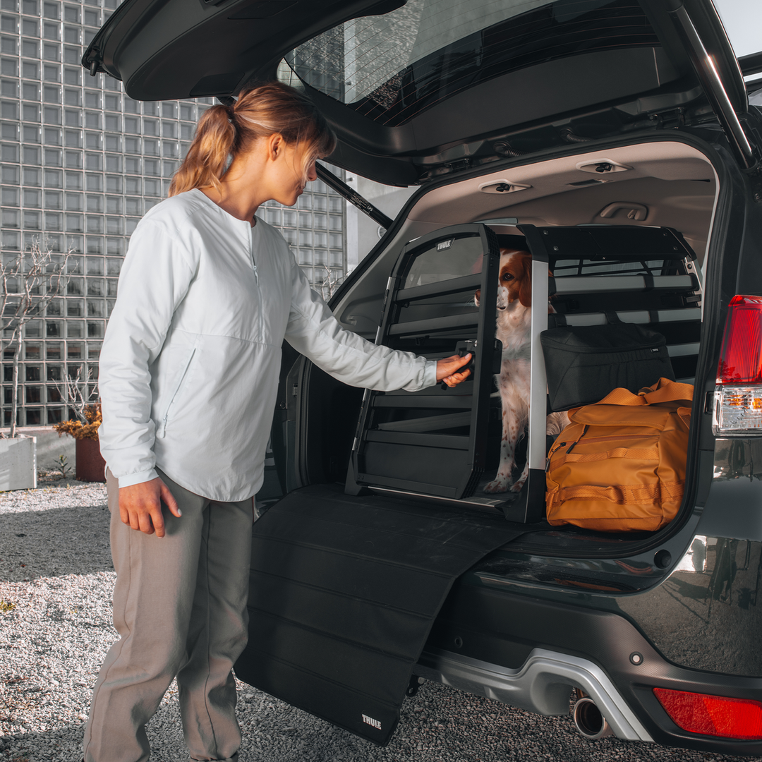 Thule Allax XL (770006)