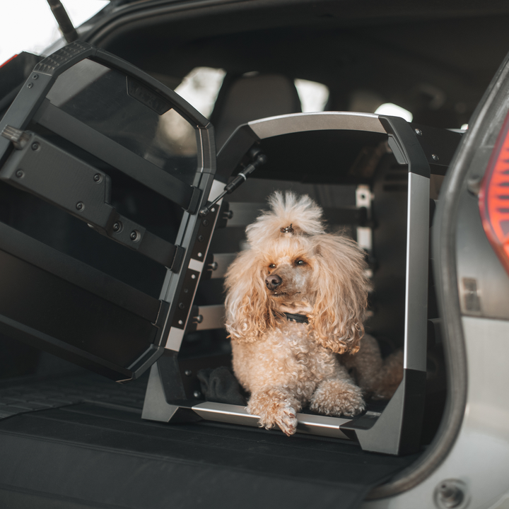 Thule Allax XXL (770008)