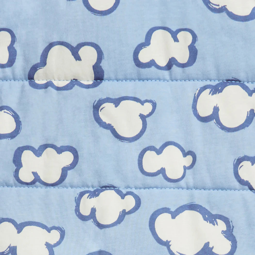 Sleep Bag WARM 2.5 TOG - Daydream Dusty Blue