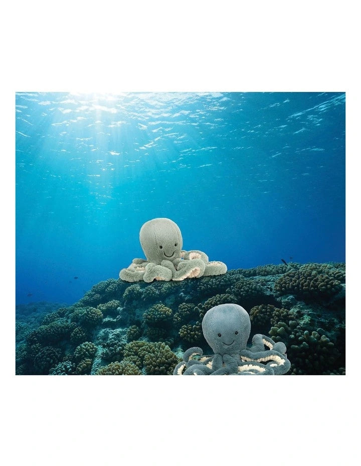Jellycat Odyssey Octopus Little