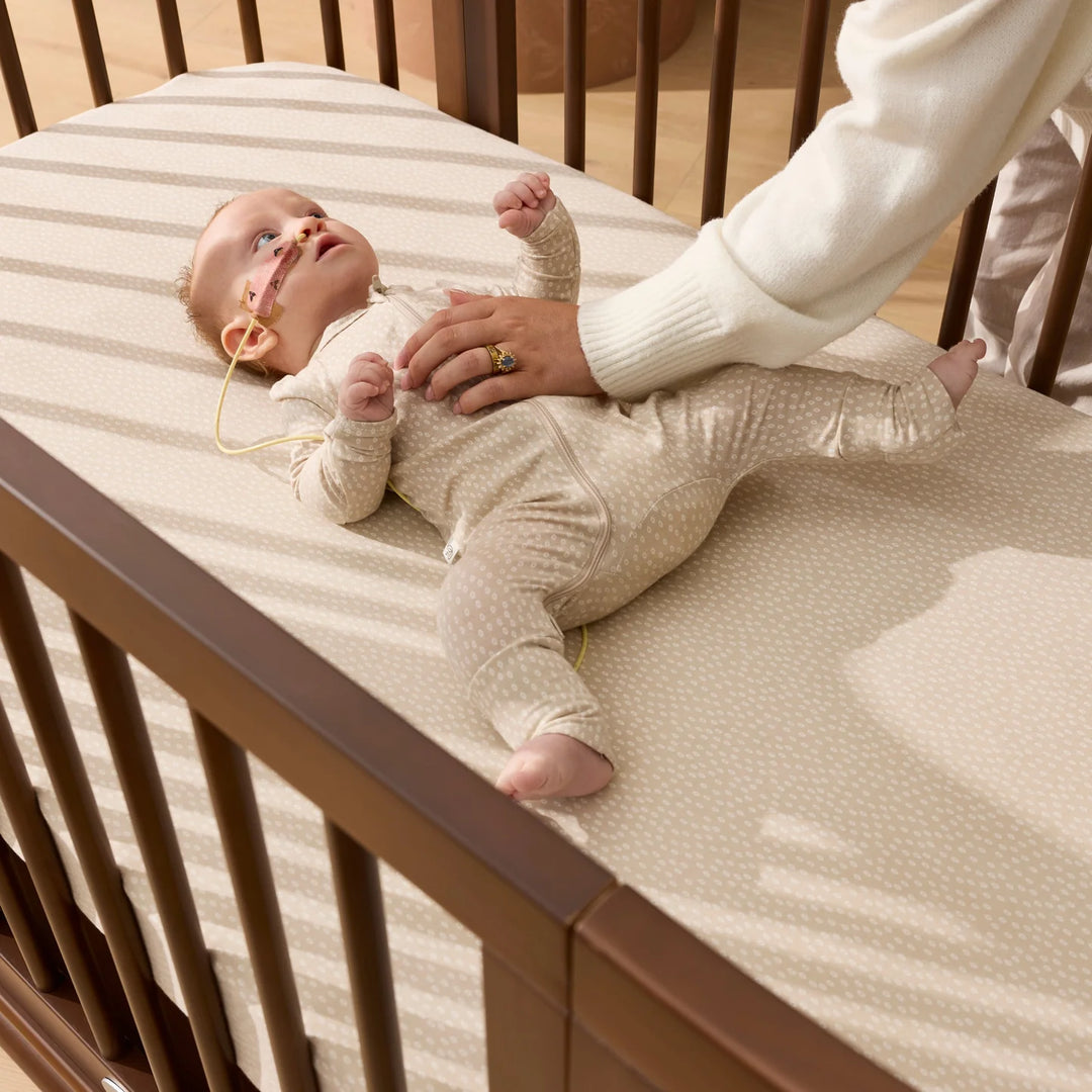 iL Tutto Luca Sustainable Timber Cot in Walnut