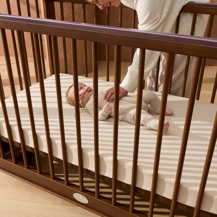 iL Tutto Ollie Sustainable Timber Cot in Walnut