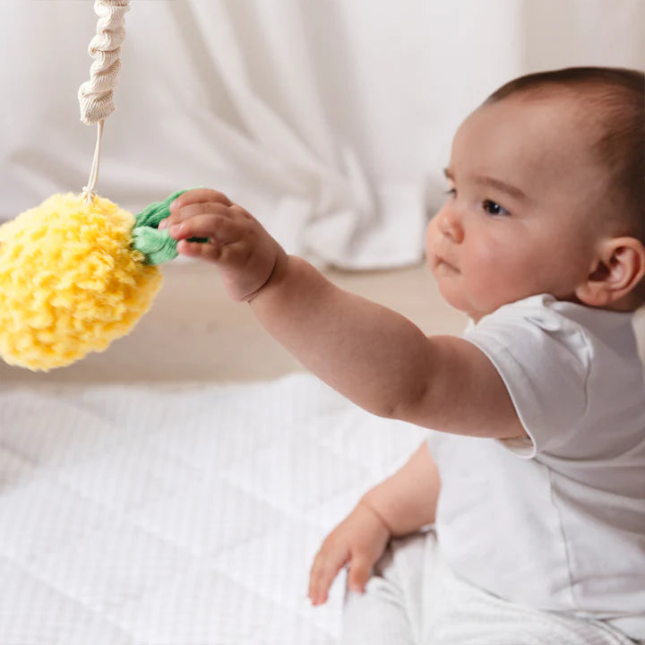 Living Textiles 2 Pack Mini Market Brunch Stroller Toys - Pineapple & Cherries
