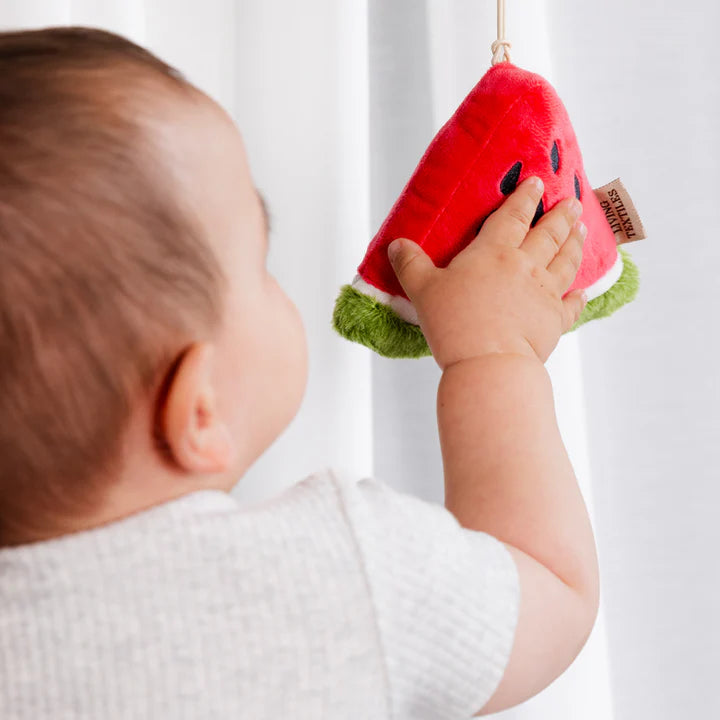 Living Textiles 2 Pack Mini Market Brunch Stroller Toys - Watermelon & Blueberry