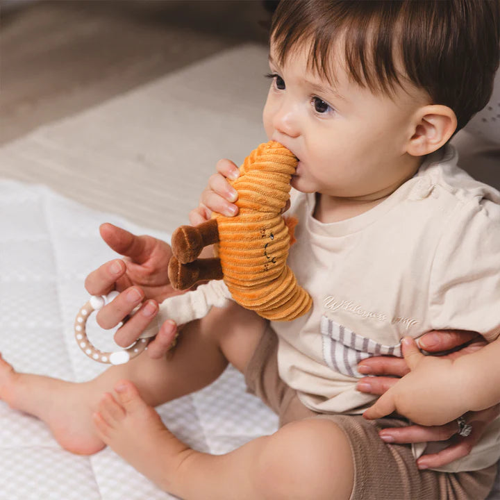 Living Textiles 2 Pack Mini Market Stroller Toys - Coffee & Croissant