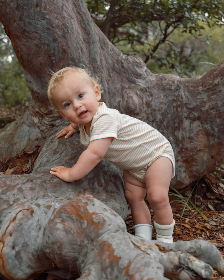 Fibre For Good Organic Cotton Stripe Jersey Bodysuit - Brown/Natural