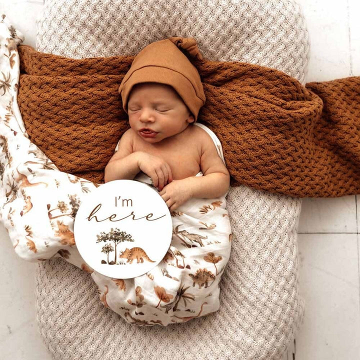 Organic Muslin Wrap-Dino