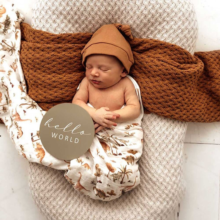 Organic Muslin Wrap-Dino