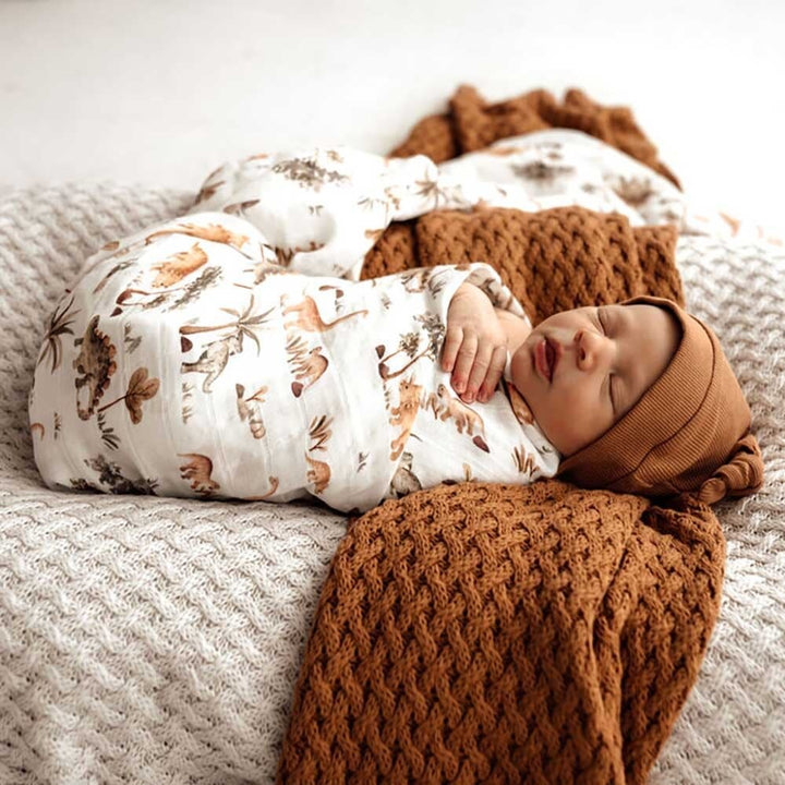 Organic Muslin Wrap-Dino