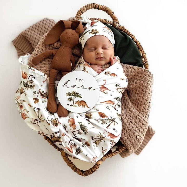 Organic Jersey Wrap & Beanie Set-Dino