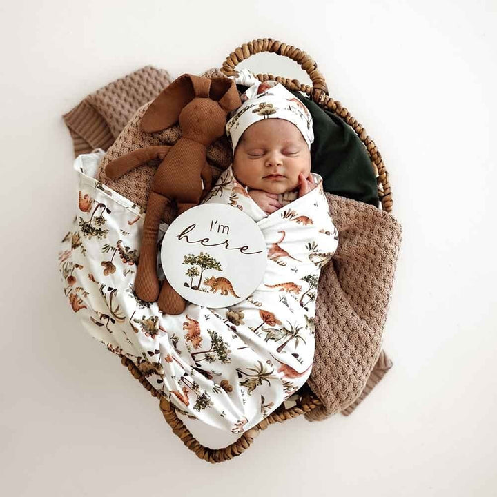 Organic Jersey Wrap & Beanie Set-Dino