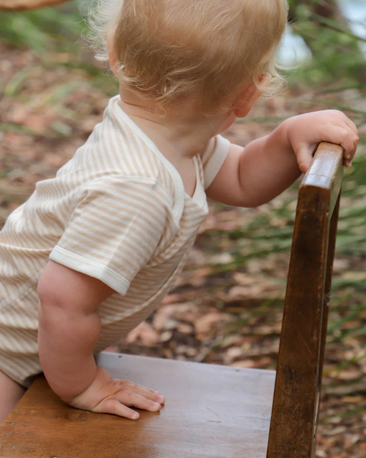 Fibre For Good Organic Cotton Stripe Jersey Bodysuit - Brown/Natural