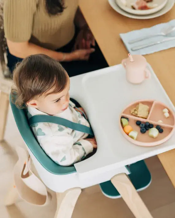 UPPAbaby Ciro Highchair Emrick (Spruce Green)