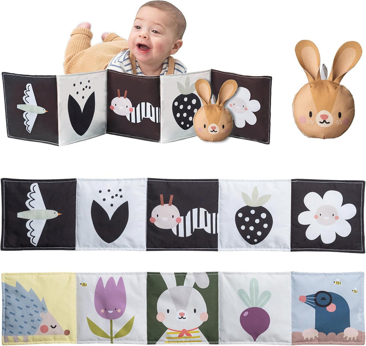 TAF Toys Bunny Pram Book - *Poly bag packaging only