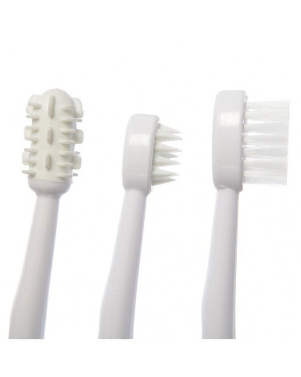 Dreambaby PINK TOOTHBRUSH SET 3 STAGE(F324)