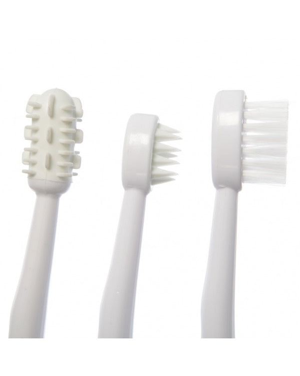 Dreambaby BLUE TOOTHBRUSH SET 3 STAGE(F323)
