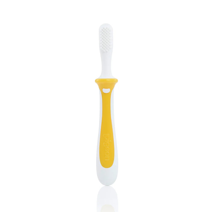 Pigeon Training Toothbrush Step 1