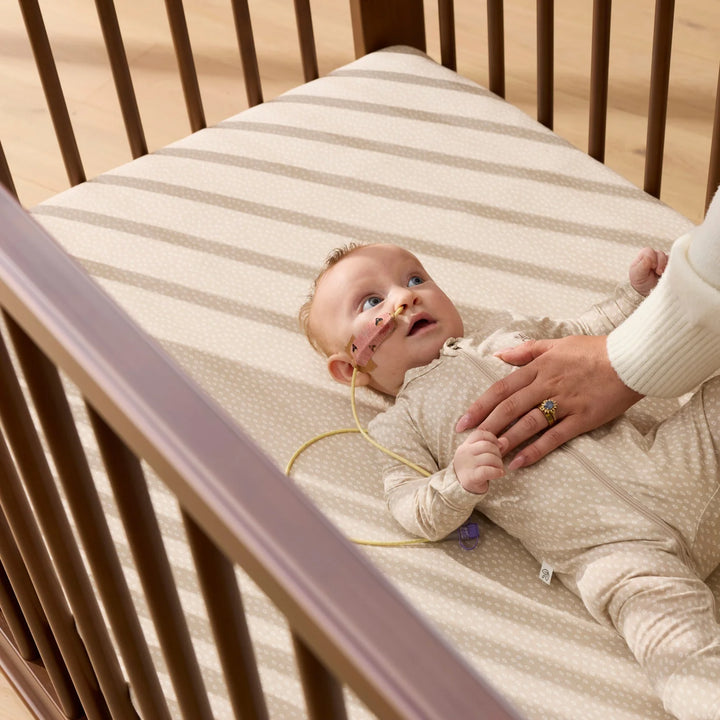 iL Tutto Ollie Sustainable Timber Cot in Walnut