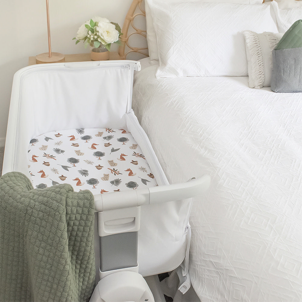 Living Textiles 2pk Bedside Sleeper Fitted Sheets - Forest Retreat