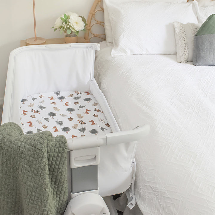 Living Textiles 2pk Bedside Sleeper Fitted Sheets - Forest Retreat