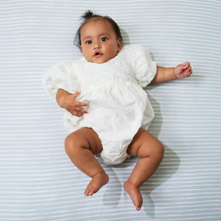 Living Textiles 2 Pack Organic Cot Fitted Sheet - Roam & Roar