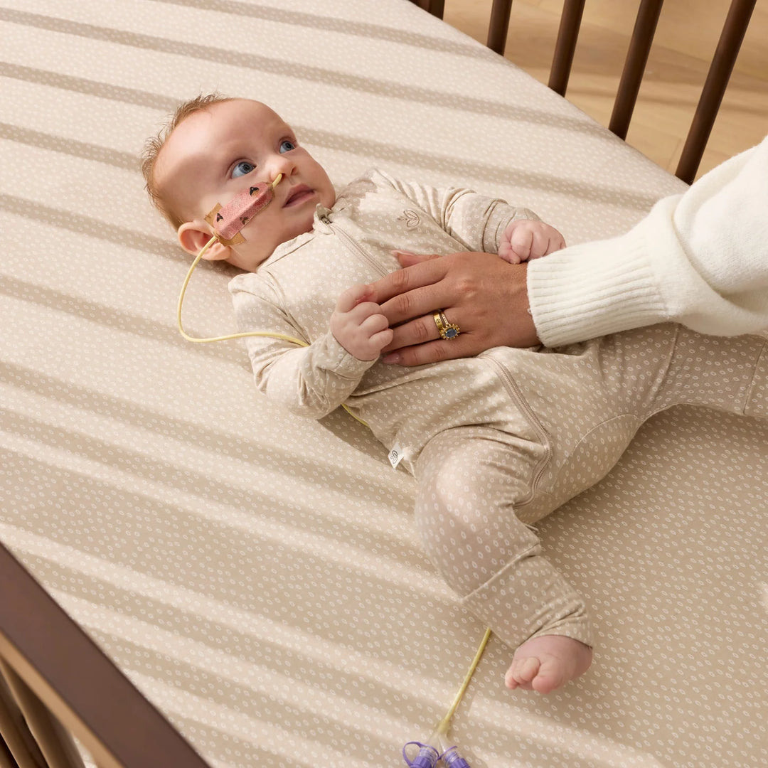 iL Tutto Luca Sustainable Timber Cot in Walnut