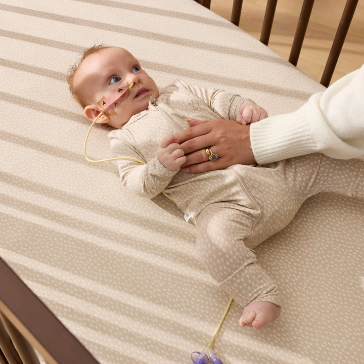 iL Tutto Luca Sustainable Timber Cot in Walnut