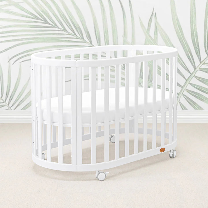Boori Eden Oval Cot V22 Beech Wood - Barley White(B-EDOCCOV22/BA)