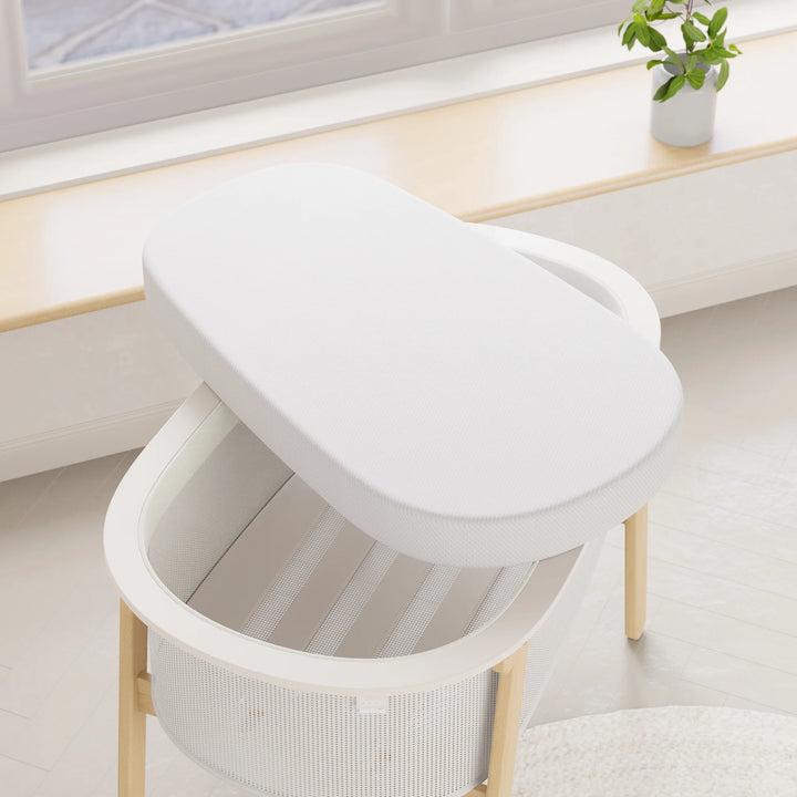 Boori Nest Easy-store Compact Cot (Airflow Mattress included)( B-NTSCCOFMAT/SWBH)